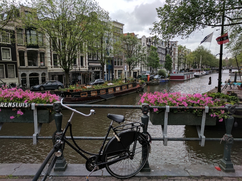 Canal in Amsterdam in June