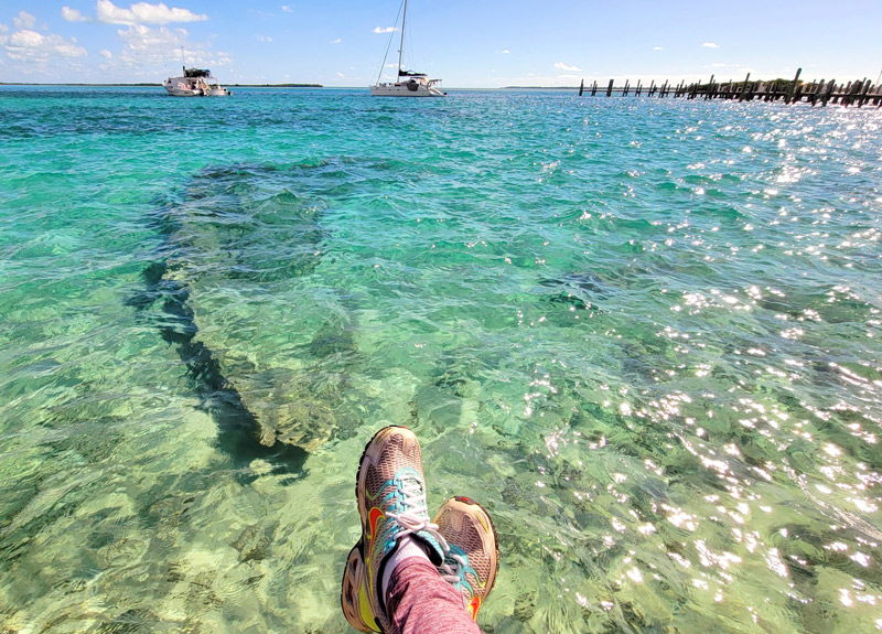 Sitting on a seawall in Bimini, Bahamas
